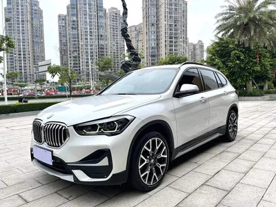2021 BMW X1 Facelift xDrive25Li Premium, фото 1, лот 10467384