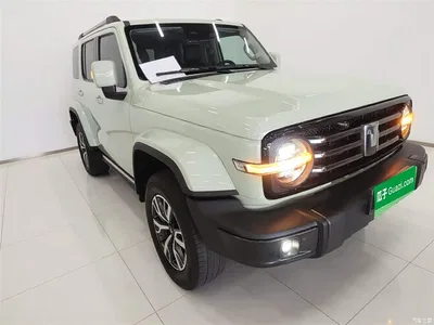 2021 Tank 300 Urban Edition 2.0T Stylish, фото 4, лот 10345658
