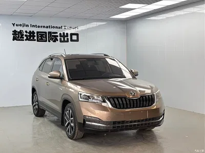 2022 Škoda Kamiq 1.5L Automatic Comfort Edition, фото 3, лот 10348493