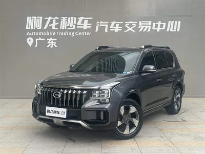 2020 GAC Trumpchi Trumpchi GS8 GS8S 390T 2WD Luxury Smart Connect Edition, фото 1, лот 10414558