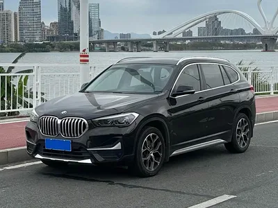 2020 BMW X1 sDrive20Li Premium Edition, фото 1, лот 10409154