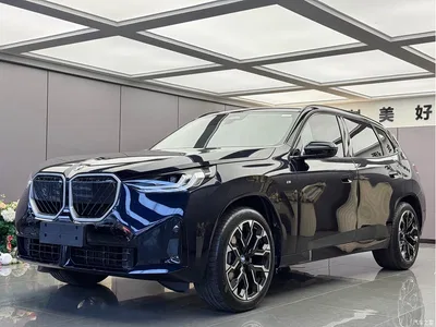 2026 BMW X3 xDrive30L Leading Trim M Sport Shadowline Package, фото 1, лот 10461197