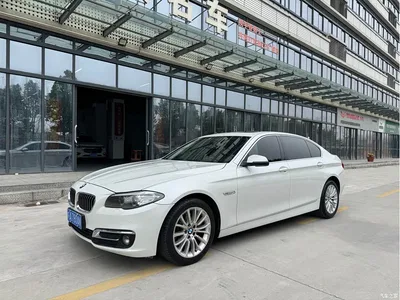 2017 BMW 5 Series 520Li Classic Edition, фото 1, лот 10450280