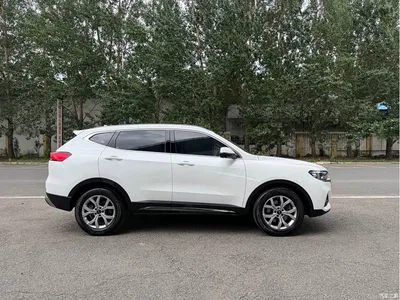 2021 Haval H6 Model National Trend Edition 1.5T Auto Champion, фото 4, лот 10283548