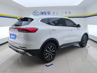 2021 Haval H6 National Trend Edition 1.5T Automatic Urban Edition, фото 3, лот 10297651