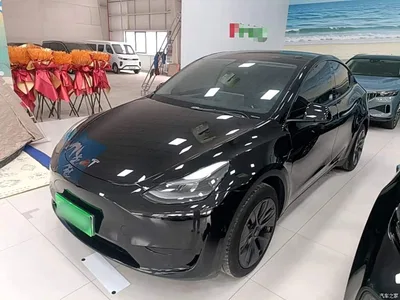 2023 Tesla Model Y Rear-Wheel Drive Edition, фото 2, лот 11138793