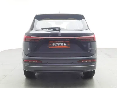 2026 Landian E5 PLUS 165km Long Range First Edition Ultra 7-Seater, фото 4, лот 11643910