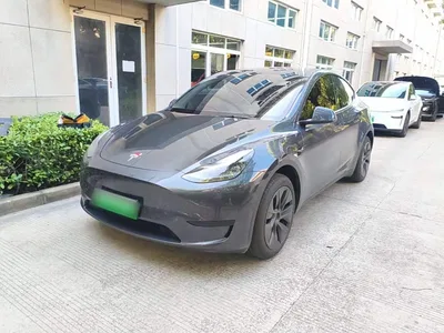 2024 Tesla Model Y Rear-Wheel Drive Version, фото 1, лот 10370336