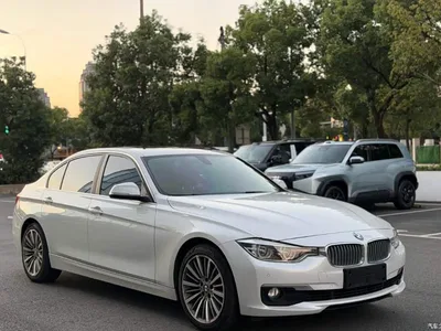 2019 BMW 3 Series 320Li Fashion Type, фото 3, лот 11132618