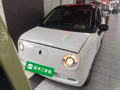 2021 Ora Black Cat 351km Standard Model, фото 3, лот 10330508
