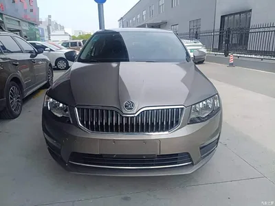 2017 Škoda Octavia 1.6L Automatic Pioneer Edition, фото 3, лот 10348026