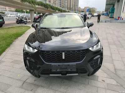 2017 WEY VV5 2.0T Super Luxury Model, фото 2, лот 10826228
