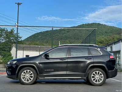 2019 Jeep Cherokee 2.0T 2WD Smart Edition China V, фото 3, лот 10290594
