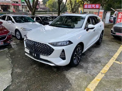 2021 WEY Mocha 2.0T 2WD Extra Rich Edition, фото 3, лот 11583008