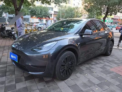 2024 Tesla Model Y Rear-Wheel Drive Version, фото 1, лот 11204567