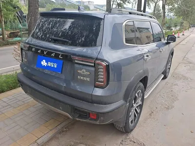 2021 Haval Big Dog 1.5T DCT 2WD Border Collie Edition, фото 3, лот 10386275