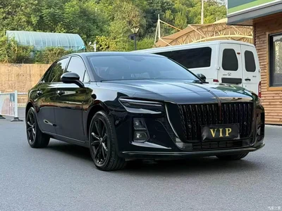 2025 Hongqi H5 1.5T DCT Mystic Shadow 2 Million Edition, фото 2, лот 11206468