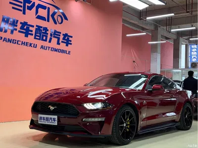 2019 Ford Mustang 2.3L EcoBoost Dark Knight Sport, фото 1, лот 10296071