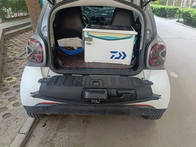 2019 smart fortwo 0.9T 66kW Hardtop Wind Edition China VI, фото 4, лот 10343095