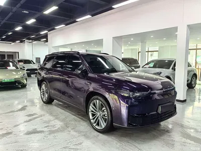 2024 Leapmotor C16 Extended Range 200 Premium Edition, фото 3, лот 10445244