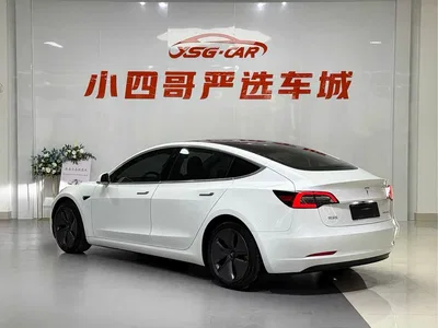 2019 Tesla Model 3 Standard Range Rear-Wheel Drive Upgrade, фото 3, лот 10355296