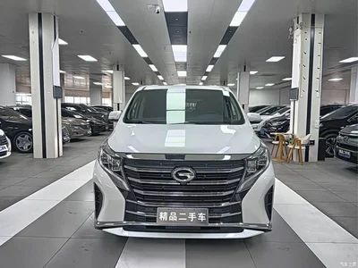2023 GAC Trumpchi Trumpchi M8 Leading Series 390T Luxury Edition, фото 3, лот 10419658