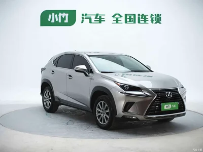 2020 Lexus NX 200 FWD Sharp Edition China VI, фото 4, лот 10312702