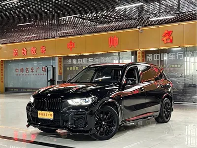 2023 BMW X5 xDrive 30Li Premium M Sport Package, фото 1, лот 11177974