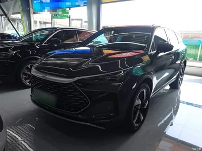 2024 BYD Tang New Energy DM-i Honor Edition 112KM Premium, фото 1, лот 10272485