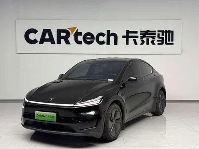 2026 Tesla Model Y Rear-Wheel Drive, фото 1, лот 10694045