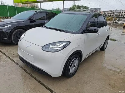 2024 Wuling Motors Wuling Bingo 333km Smart Connect Edition, фото 1, лот 10361491