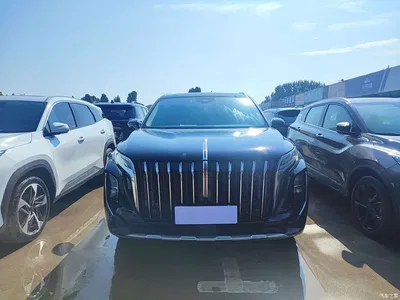 2024 Hongqi HS7 2.0T Automatic AWD Qixiang Edition 7-seater, фото 1, лот 10360987