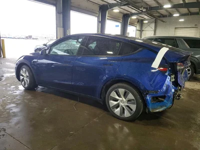 2021 TESLA MODEL Y, фото 2, лот 11594995