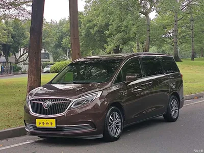 2018 Buick GL8, фото 1, лот 10242568