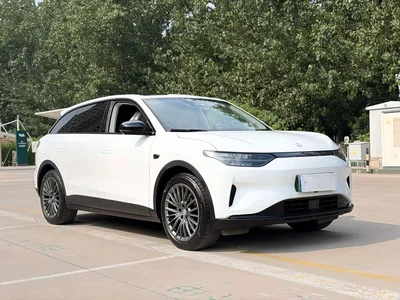 2023 Leapmotor C11 Pure Electric 500 Comfort Edition, фото 2, лот 10314596