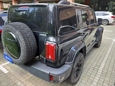 2021 Tank 300 Urban Edition 2.0T Stylish, фото 3, лот 10345220