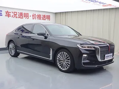 2020 Hongqi H9 2.0T Smart Connection Qi Xiang Edition, фото 2, лот 10625212