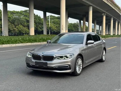 2020 BMW 5 Series 530Li Premium Luxury Package, фото 1, лот 10482661