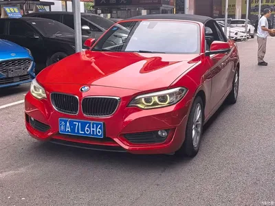 2015 BMW 2 Series (Import) 218i Convertible Coupe, фото 1, лот 10838891