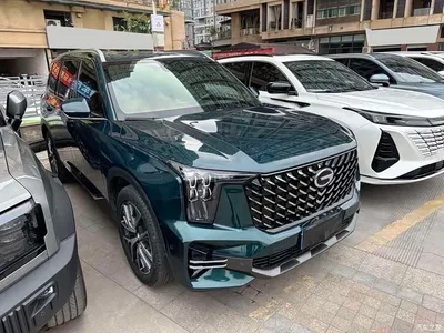 2022 GAC Trumpchi Trumpchi GS8 Pilot Series 2.0TGDI 2WD Premium Edition (7-Seater), фото 4, лот 10764910
