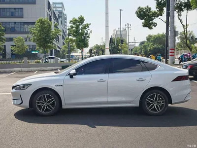 2024 BYD Qin PLUS Glory Edition EV 420KM Leading, фото 3, лот 10404630