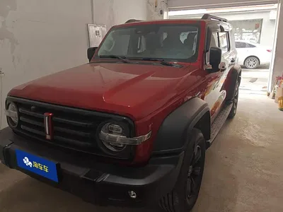 2021 Tank 300 Off-road Version 2.0T Conqueror, фото 1, лот 11202305