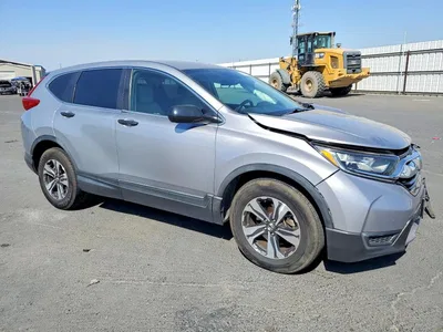 2019 HONDA CR-V LX, фото 4, лот 11240396