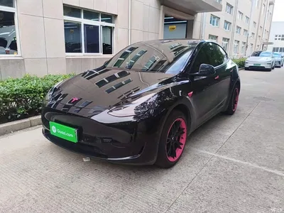 2023 Tesla Model Y Rear-Wheel Drive Edition, фото 1, лот 10369987
