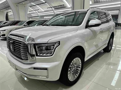 2022 Tank 500 3.0T Business Edition Zaojing 5-Seater, фото 1, лот 10344594