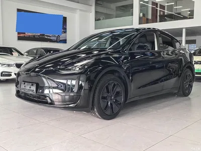 2023 Tesla Model Y Rear-Wheel Drive Edition, фото 1, лот 10394595