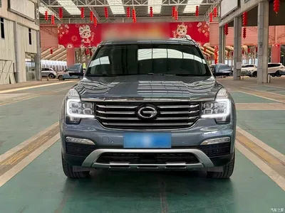 2017 GAC Trumpchi Trumpchi GS8 320T 2WD Luxury Smart Connect (7-seater), фото 3, лот 10808568