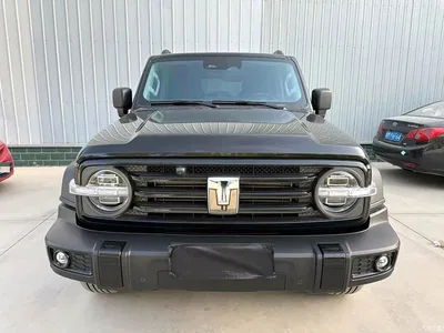 2025 Tank 300 2.0T Challenger, фото 2, лот 10905396