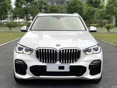 2019 BMW X5 (Import) xDrive40i M Sport Package, фото 2, лот 10464051