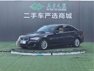 2011 BMW 3 Series 318i Leading, фото 1, лот 10476662
